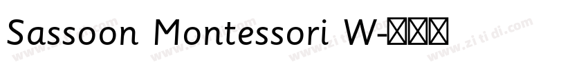 Sassoon Montessori W字体转换
